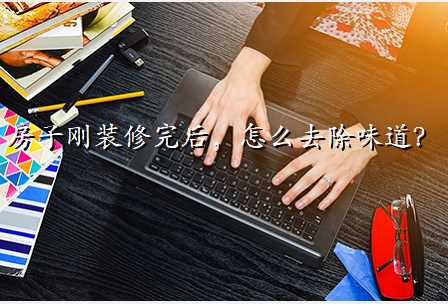 房子刚装修完后,怎么去除味道?
