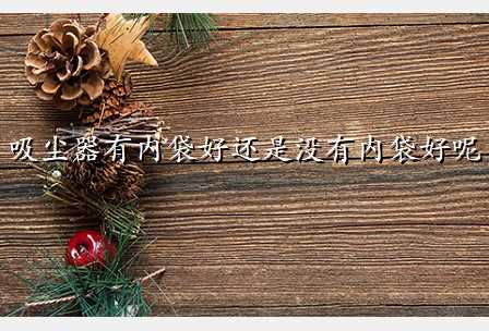吸尘器有内袋好还是没有内袋好呢