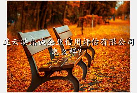 连云港鼎诚企业信用评估有限公司怎么样?