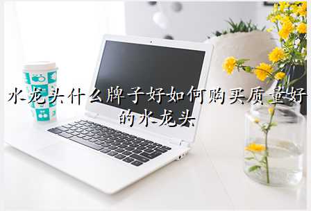 水龙头什么牌子好如何购买质量好的水龙头