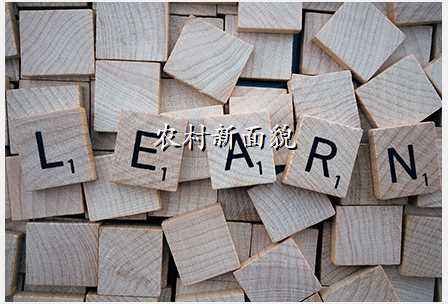 农村新面貌