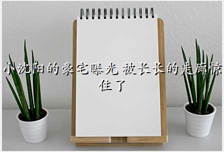 小沈阳的豪宅曝光 被长长的走廊惊住了