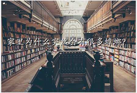 家里为什么突然会有很多蟑螂?