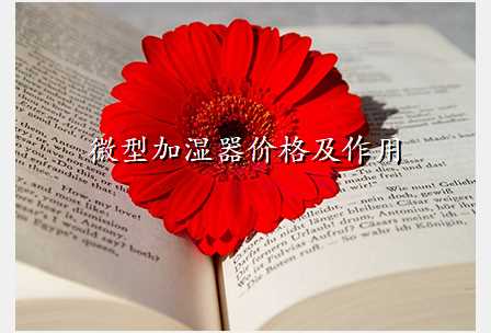 微型加湿器价格及作用