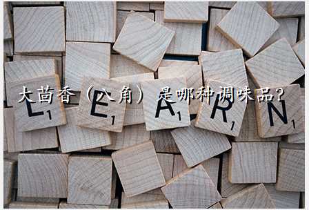 大茴香(八角)是哪种调味品?
