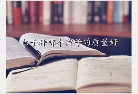 电子秤哪个牌子的质量好