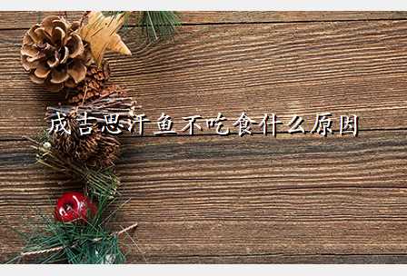 成吉思汗鱼不吃食什么原因