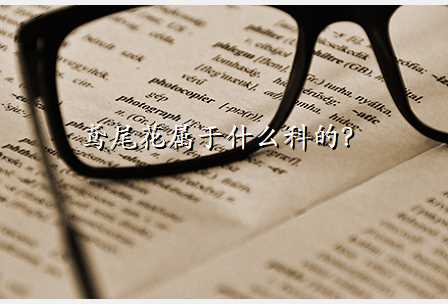 鸢尾花属于什么科的?