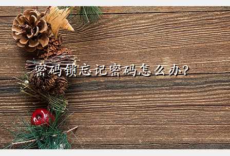 密码锁忘记密码怎么办?
