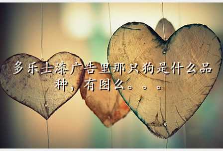 多乐士漆广告里那只狗是什么品种,有图么。。。