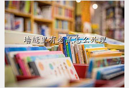 墙缝里有老鼠怎么处理