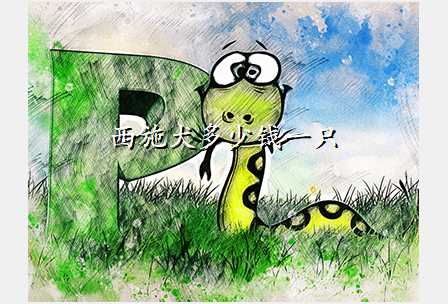 西施犬多少钱一只