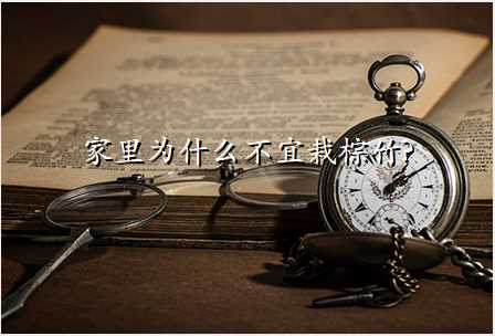 家里为什么不宜栽棕竹?