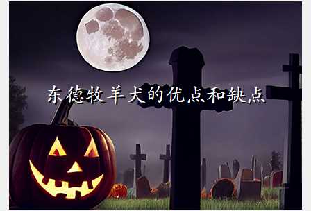 东德牧羊犬的优点和缺点