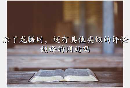 除了龙腾网,还有其他类似的评论翻译的网站吗