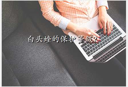 白头蝰的保护等级?