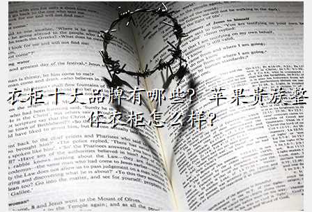衣柜十大品牌有哪些?苹果贵族整体衣柜怎么样?