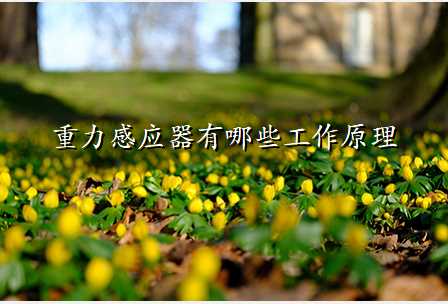 重力感应器有哪些工作原理