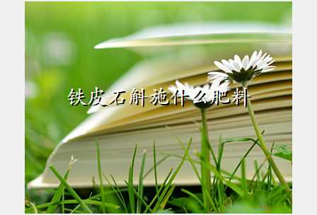 铁皮石斛施什么肥料