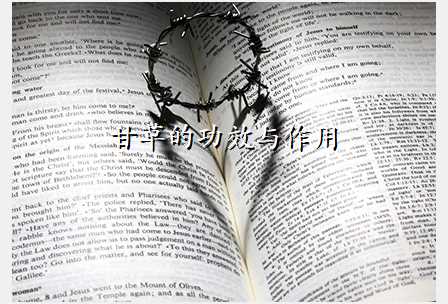 甘草的功效与作用
