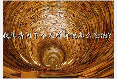我想请问下个人所得税怎么缴纳?