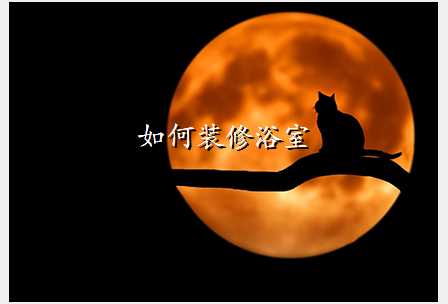 如何装修浴室