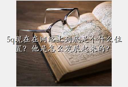 5q现在在网络上到底是个什么位置?他是怎么发展起来的?