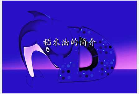 稻米油的简介