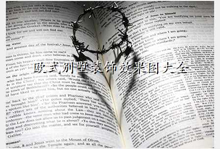 欧式别墅装饰效果图大全