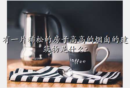 有一片稀松的房子高高的烟囱的建筑物是什么?