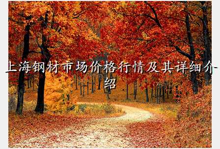 上海钢材市场价格行情及其详细介绍