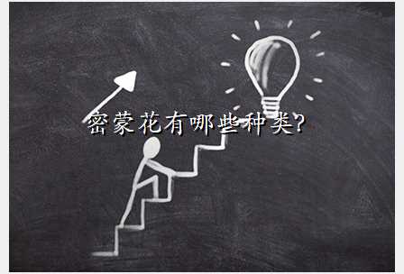 密蒙花有哪些种类?