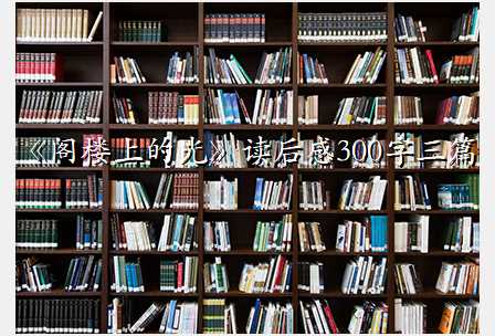 《阁楼上的光》读后感300字三篇