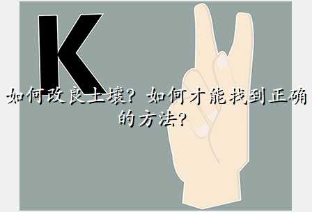 如何改良土壤?如何才能找到正确的方法?