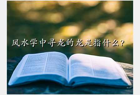 风水学中寻龙的龙是指什么?