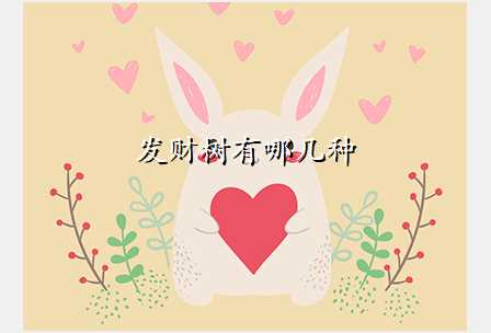 发财树有哪几种