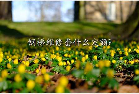 钢梯维修套什么定额?