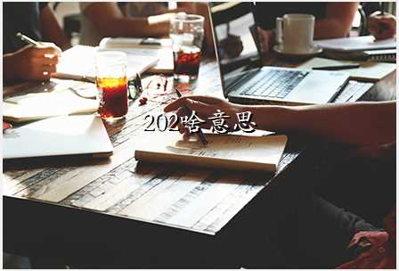 202啥意思