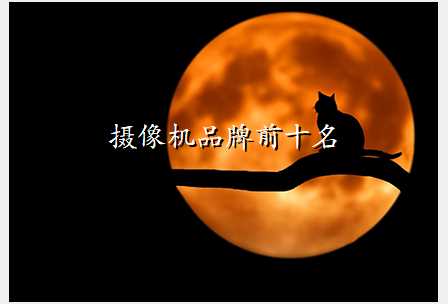 摄像机品牌前十名