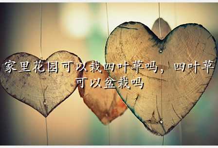 家里花园可以栽四叶草吗,四叶草可以盆栽吗