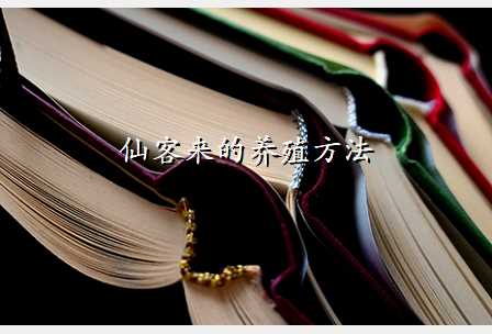 仙客来的养殖方法