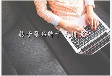 转子泵品牌十 大排 名?