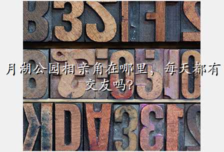 月湖公园相亲角在哪里,每天都有交友吗?