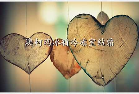 澳柯玛冰箱冷冻室结霜
